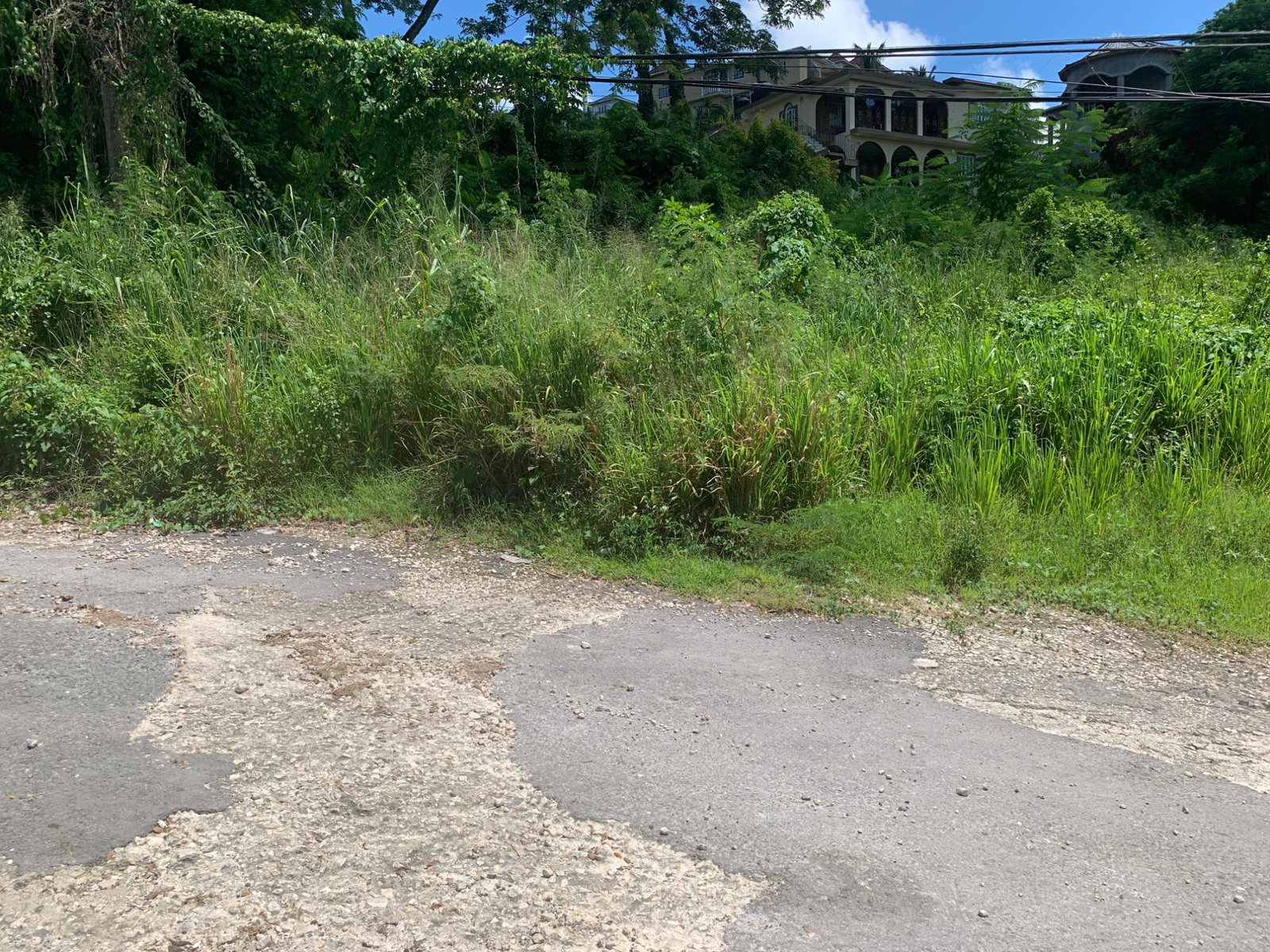 Sixth image of 14 Irwin Sign Po. st James in Sign, St. James, Jamaica - property is For Sale