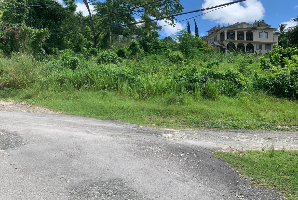 Seventh image of 14 Irwin Sign Po. st James in Sign, St. James, Jamaica - property is For Sale