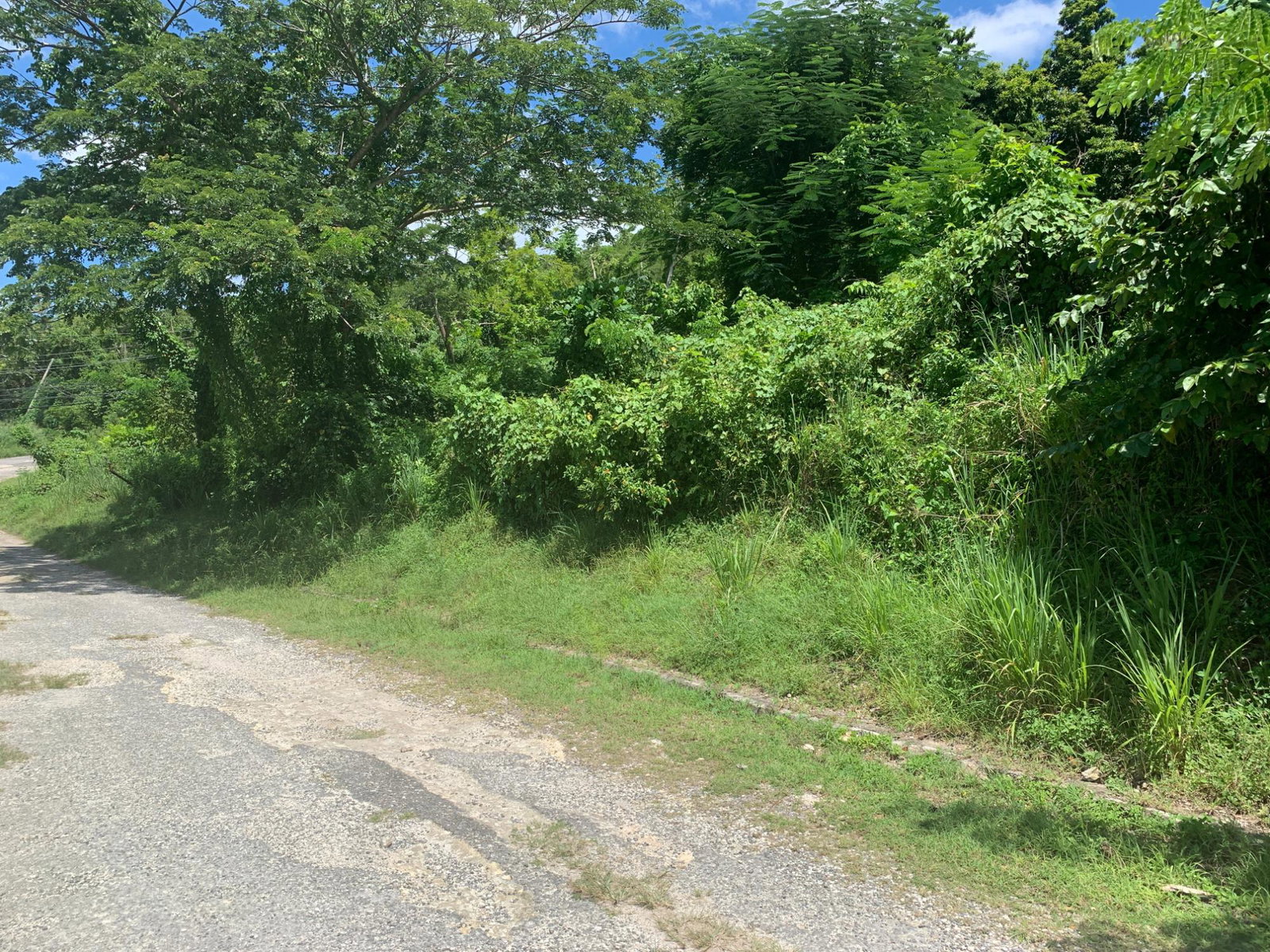 Ninth image of 14 Irwin Sign Po. st James in Sign, St. James, Jamaica - property is For Sale