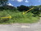 First image of 14 Irwin Sign Po. st James in Sign, St. James, Jamaica - property is For Sale