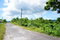 First image of 192 Olive Park in Santa Cruz, St. Elizabeth, Jamaica - property is For Sale