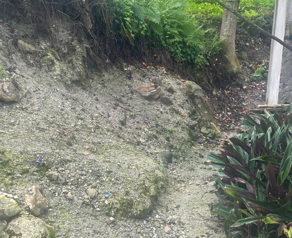 Tenth image of Lot 1 Adelphi to Lima in Adelphi, St. James, Jamaica - property is For Sale