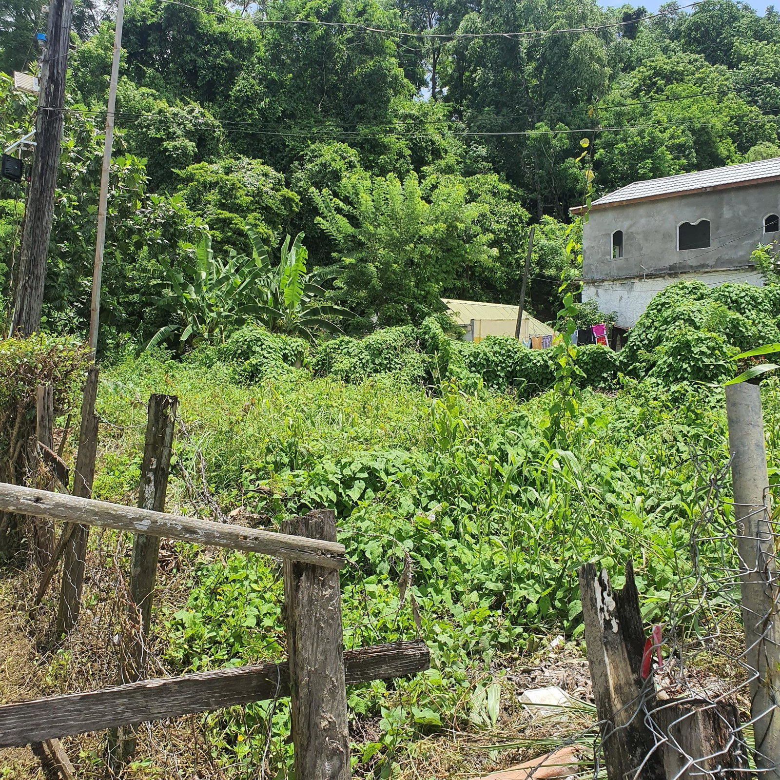 Versatile-Residential-Lot-for-Sale-in-Lucea-Hanover-Jamaica Fourth image of Cressers Lane Lucea Hanov in Lucea, Hanover, Jamaica - property is For Sale