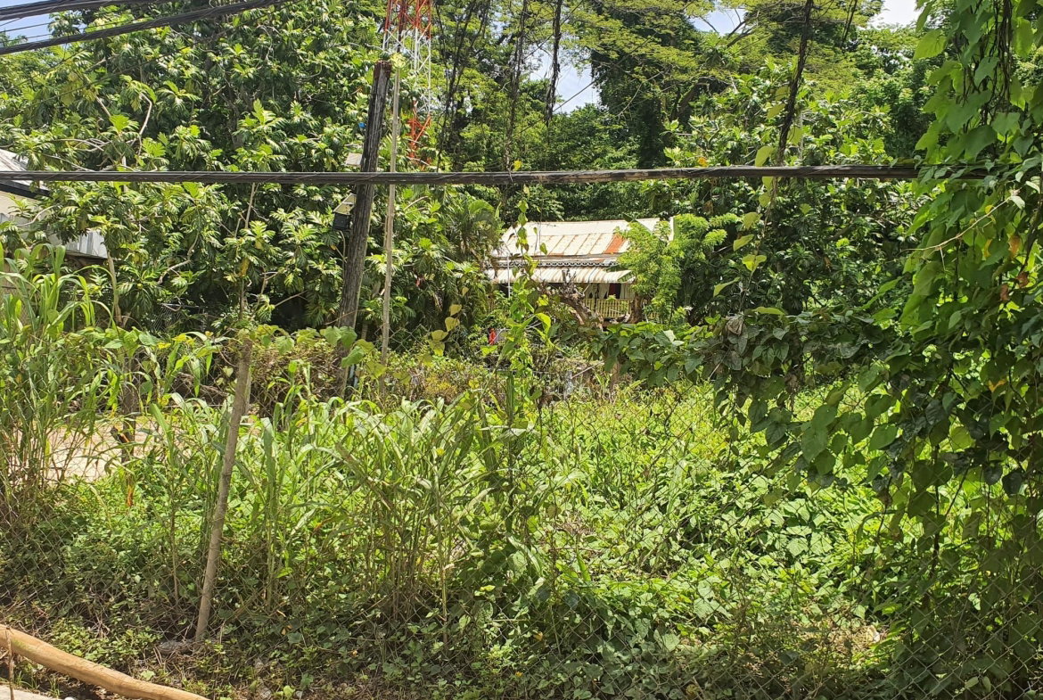 Fifth image of Cressers Lane Lucea Hanov in Lucea, Hanover, Jamaica - property is For Sale