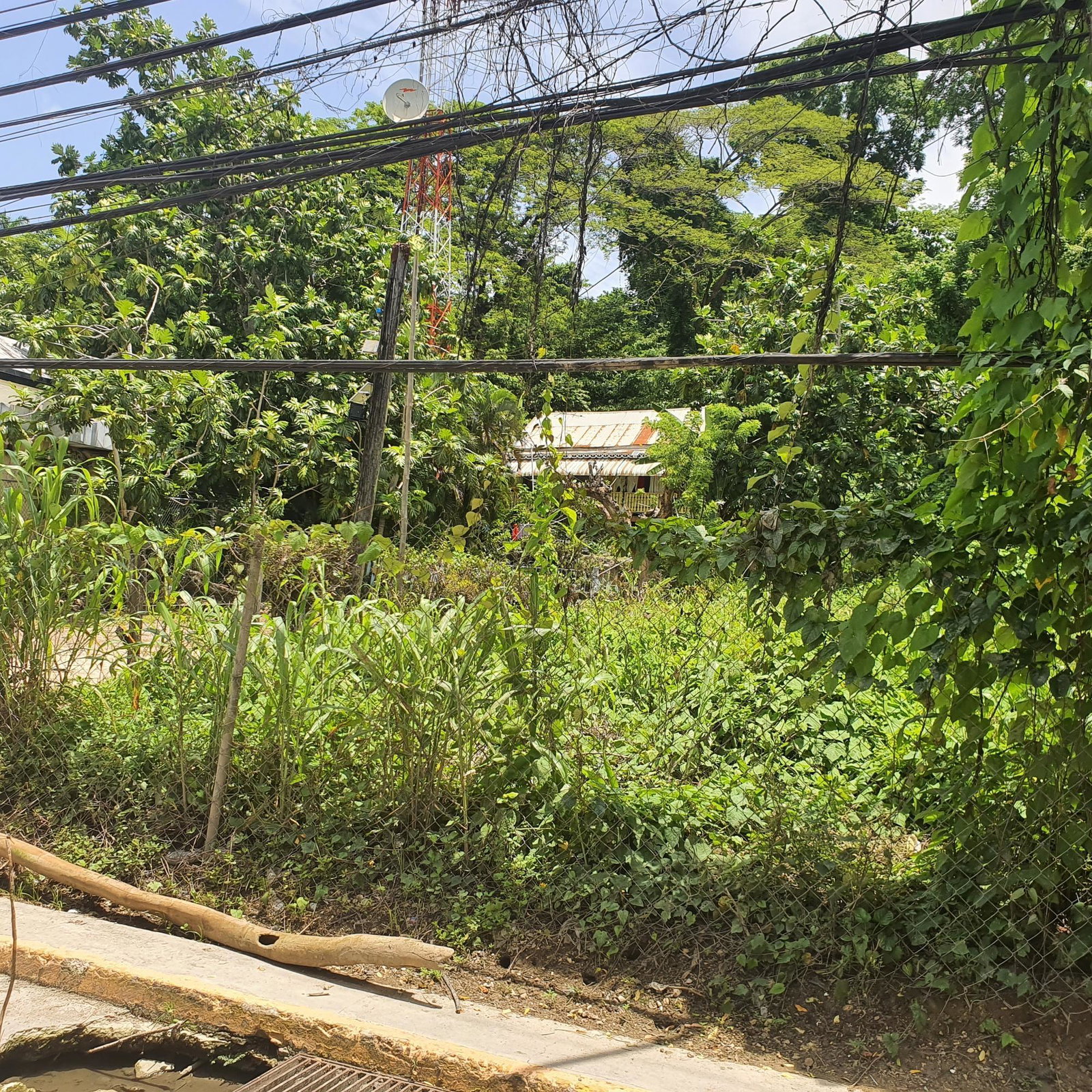Versatile-Residential-Lot-for-Sale-in-Lucea-Hanover-Jamaica Fifth image of Cressers Lane Lucea Hanov in Lucea, Hanover, Jamaica - property is For Sale