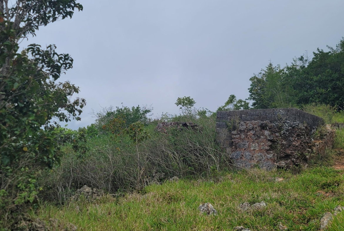 Second image of Lincoln, Manchester in Lincoln, Manchester, Jamaica - property is For Sale