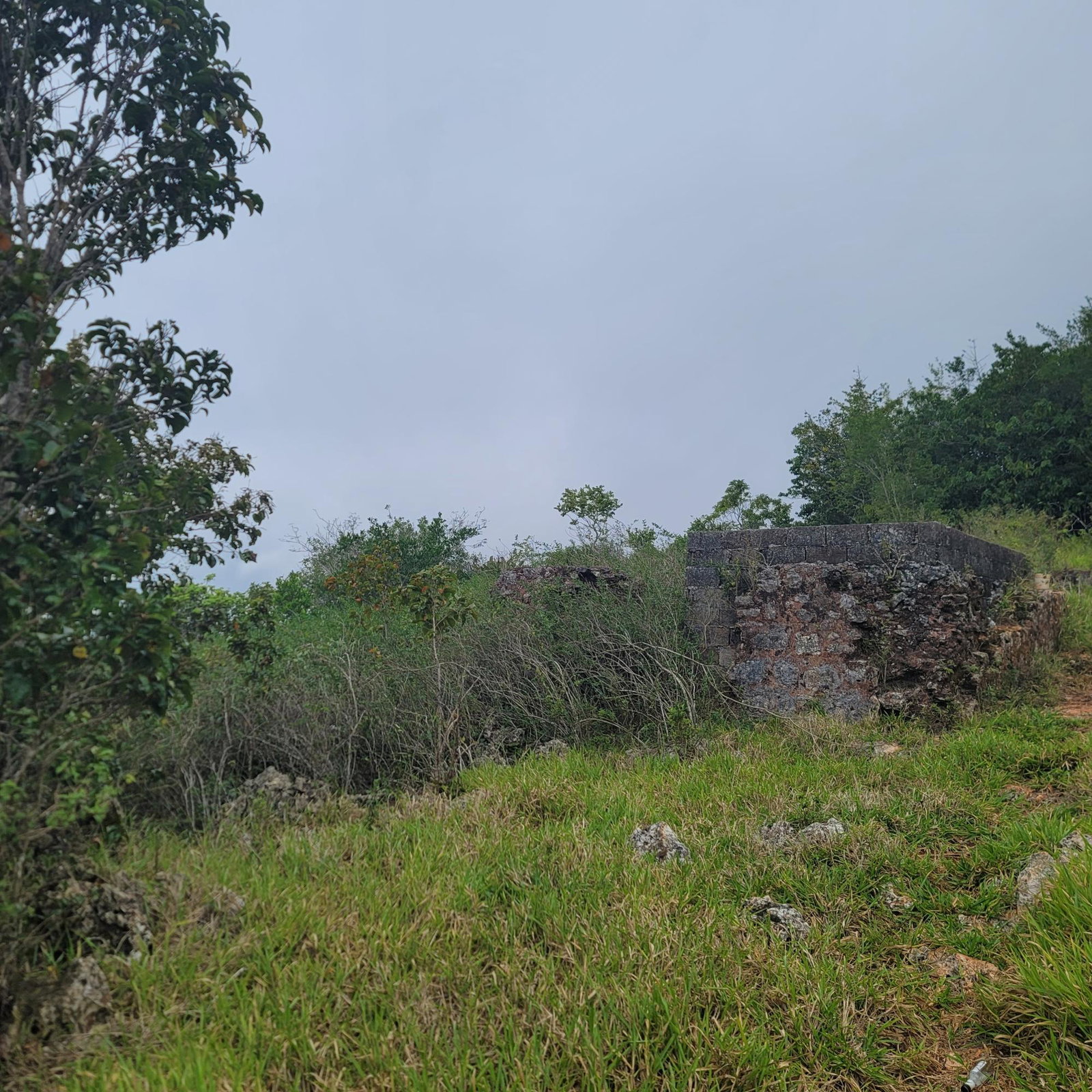 Second image of Lincoln, Manchester in Lincoln, Manchester, Jamaica - property is For Sale