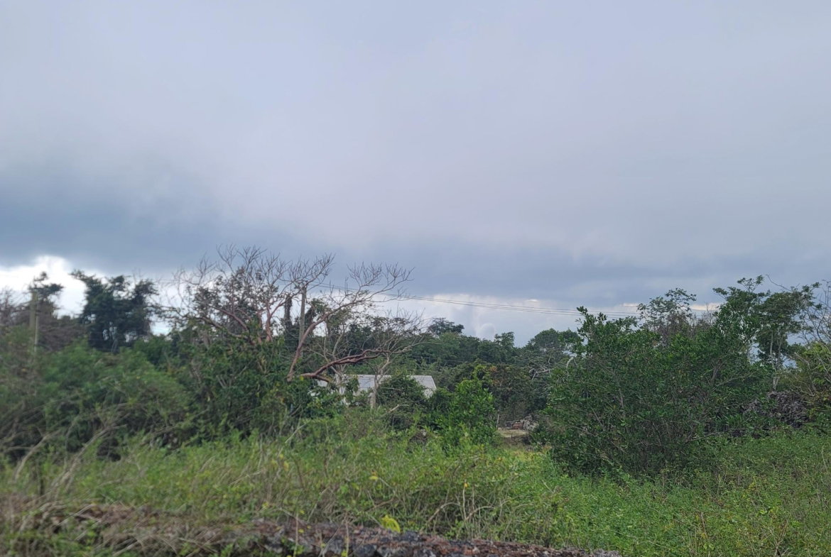 First image of Lincoln, Manchester in Lincoln, Manchester, Jamaica - property is For Sale