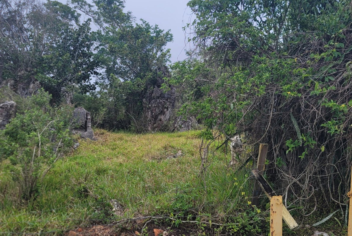 Third image of Lincoln, Manchester in Lincoln, Manchester, Jamaica - property is For Sale