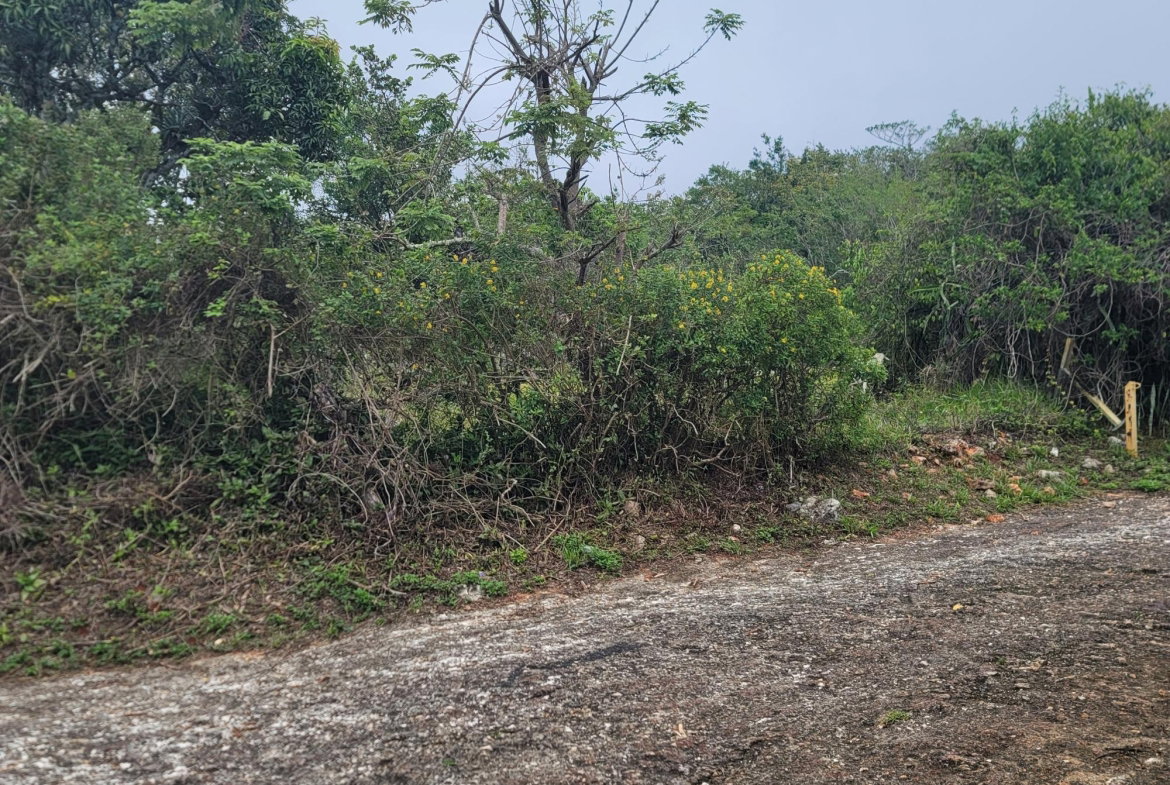 Fourth image of Lincoln, Manchester in Lincoln, Manchester, Jamaica - property is For Sale