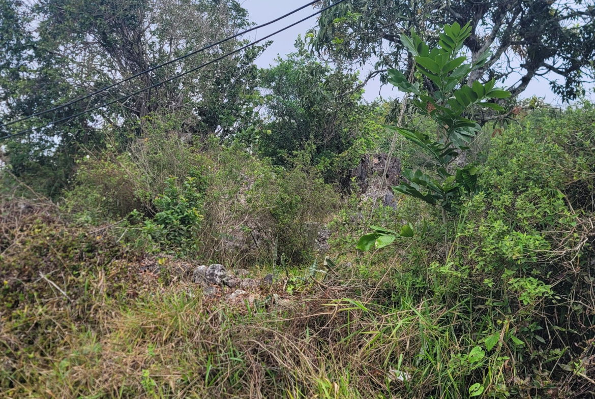 Fifth image of Lincoln, Manchester in Lincoln, Manchester, Jamaica - property is For Sale