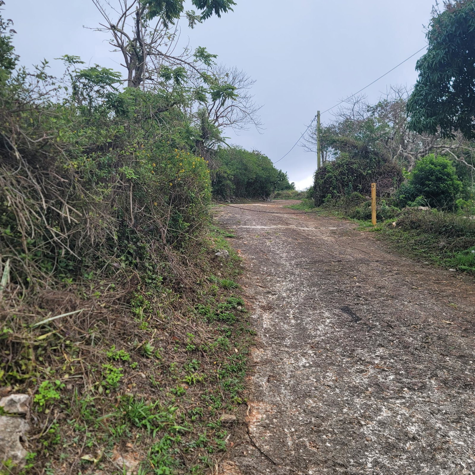 Sixth image of Lincoln, Manchester in Lincoln, Manchester, Jamaica - property is For Sale