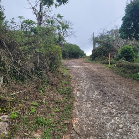 Sixth image of Lincoln, Manchester in Lincoln, Manchester, Jamaica - property is For Sale