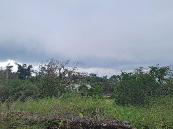 First image of Lincoln, Manchester in Lincoln, Manchester, Jamaica - property is For Sale