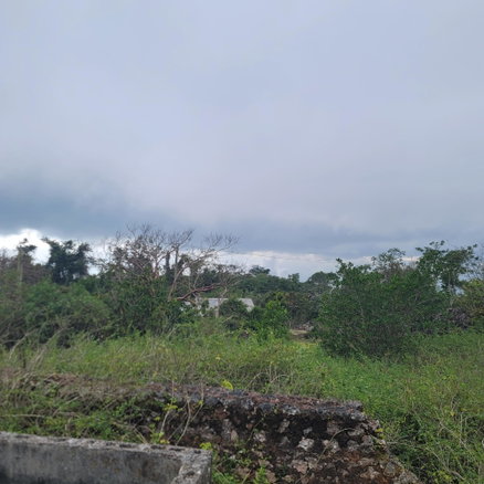 First image of Lincoln, Manchester in Lincoln, Manchester, Jamaica - property is For Sale