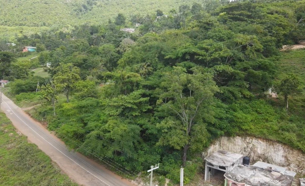 Third image of Melrose Hill in Porus, Manchester, Jamaica - property is For Sale