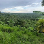 First image of Nashville Palms, Highgate in Highgate, St. Mary, Jamaica - property is For Sale