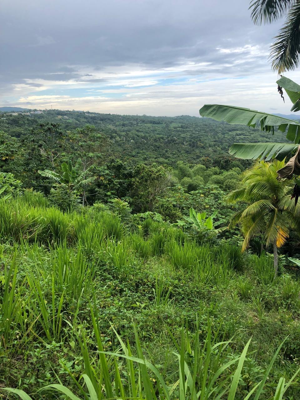 Third image of Nashville Palms, Highgate in Highgate, St. Mary, Jamaica - property is For Sale