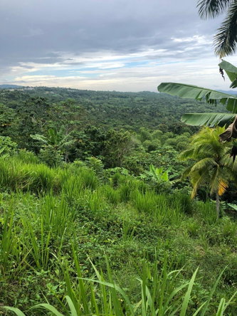 Third image of Nashville Palms, Highgate in Highgate, St. Mary, Jamaica - property is For Sale