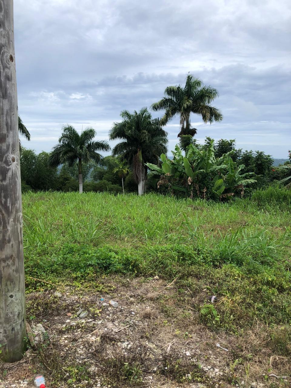 Fifth image of Nashville Palms, Highgate in Highgate, St. Mary, Jamaica - property is For Sale