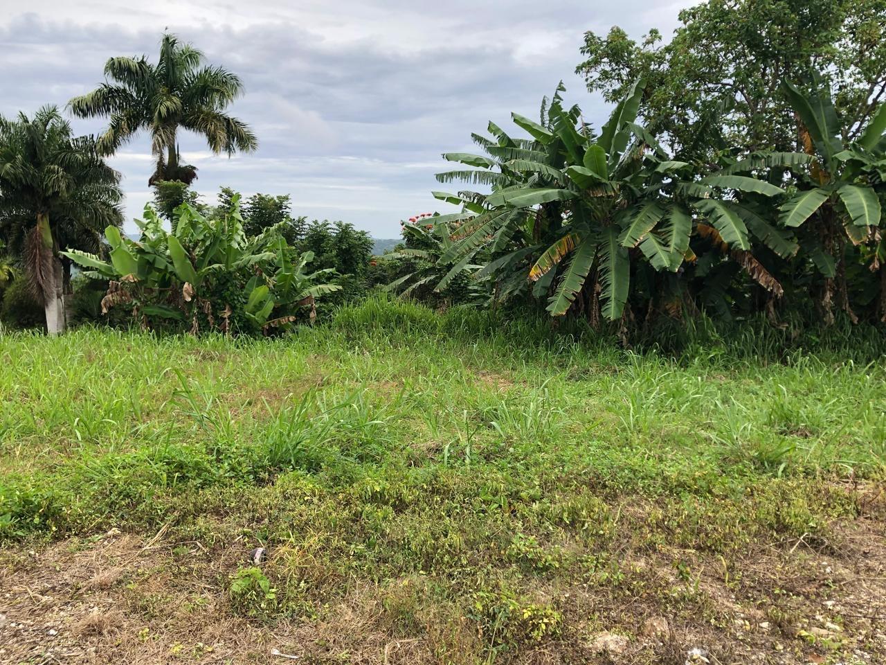 Sixth image of Nashville Palms, Highgate in Highgate, St. Mary, Jamaica - property is For Sale