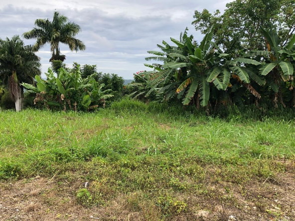 Sixth image of Nashville Palms, Highgate in Highgate, St. Mary, Jamaica - property is For Sale