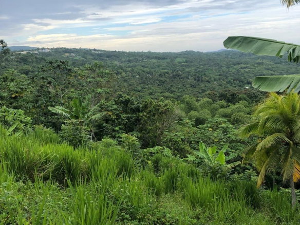 First image of Nashville Palms, Highgate in Highgate, St. Mary, Jamaica - property is For Sale