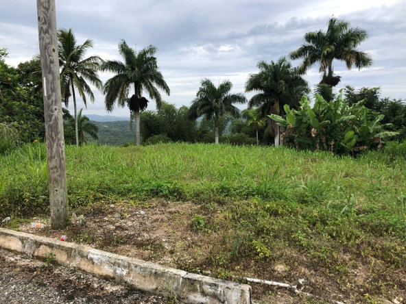 Seventh image of Nashville Palms, Highgate in Highgate, St. Mary, Jamaica - property is For Sale
