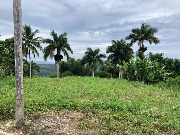 Eighth image of Nashville Palms, Highgate in Highgate, St. Mary, Jamaica - property is For Sale