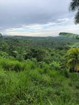 First image of Nashville Palms, Highgate in Highgate, St. Mary, Jamaica - property is For Sale