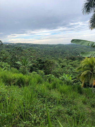 First image of Nashville Palms, Highgate in Highgate, St. Mary, Jamaica - property is For Sale