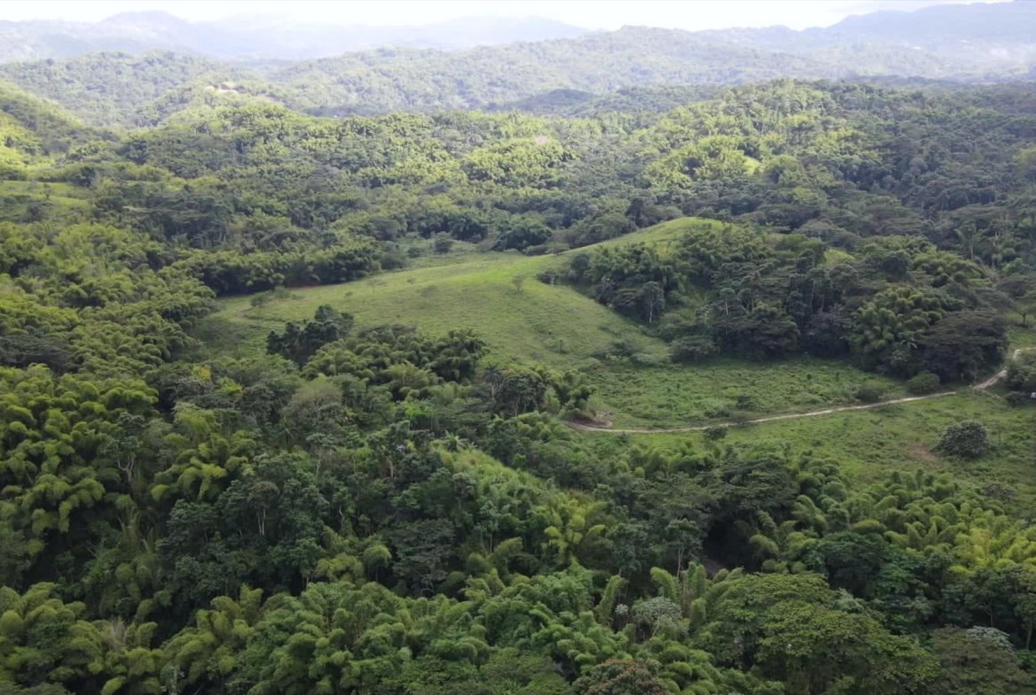 Second image of Land Part of Riley,lucea in Riley, Hanover, Jamaica - property is For Sale