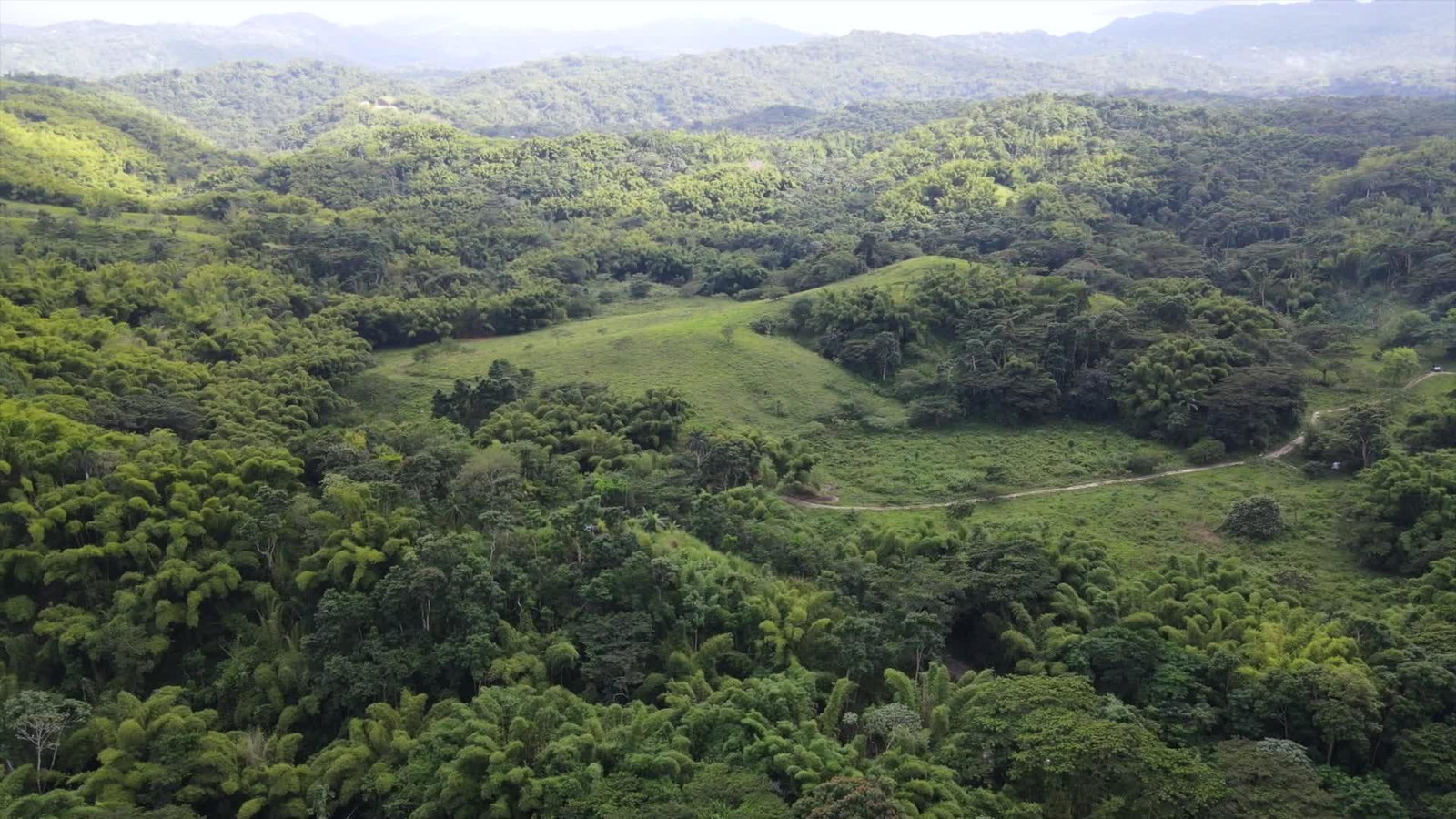 155-Acre-Prime-Development-Land-for-Sale-in-Hanover-Jamaica Second image of Land Part of Riley,lucea in Riley, Hanover, Jamaica - property is For Sale