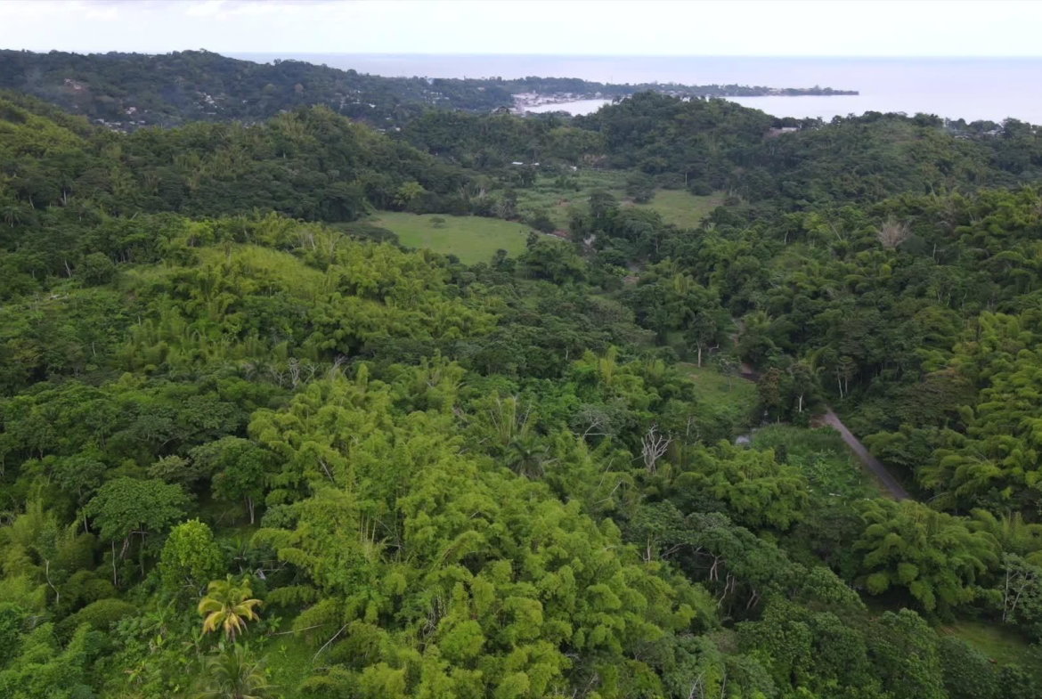 First image of Land Part of Riley,lucea in Riley, Hanover, Jamaica - property is For Sale