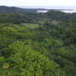 First image of Land Part of Riley,lucea in Riley, Hanover, Jamaica - property is For Sale
