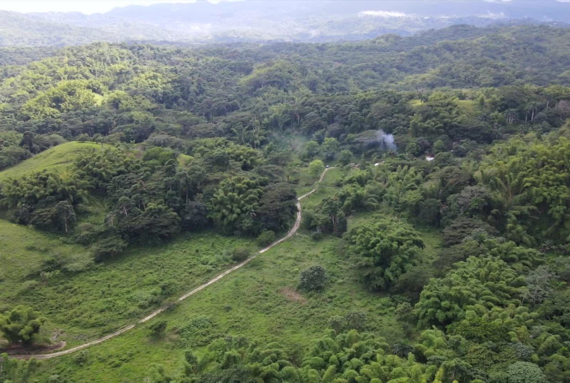 Fourth image of Land Part of Riley,lucea in Riley, Hanover, Jamaica - property is For Sale