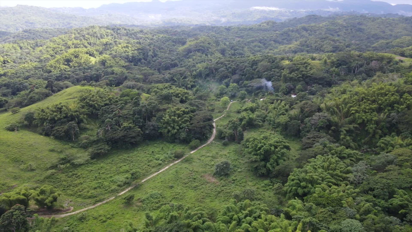 155-Acre-Prime-Development-Land-for-Sale-in-Hanover-Jamaica Fourth image of Land Part of Riley,lucea in Riley, Hanover, Jamaica - property is For Sale