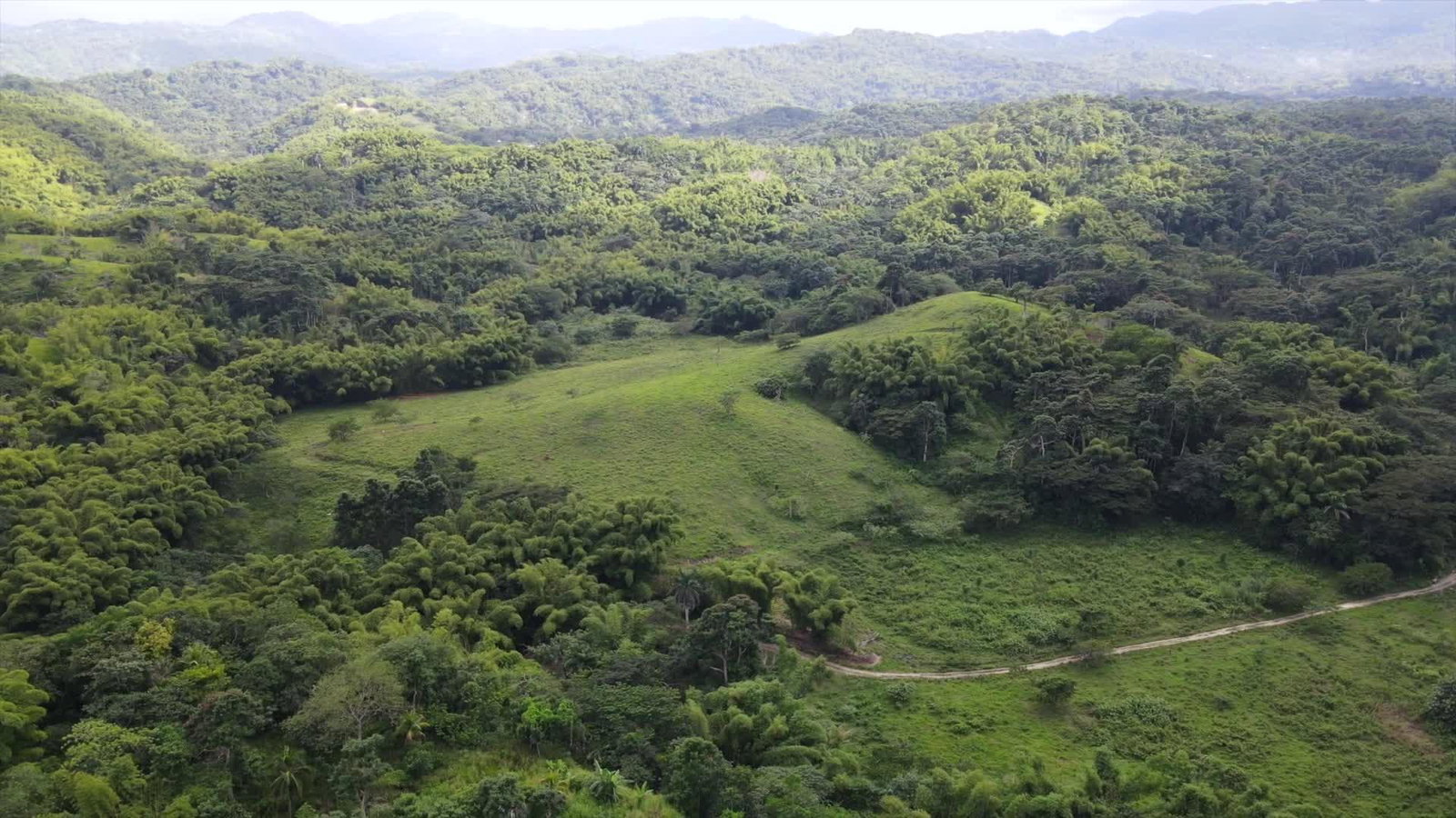 155-Acre-Prime-Development-Land-for-Sale-in-Hanover-Jamaica Fifth image of Land Part of Riley,lucea in Riley, Hanover, Jamaica - property is For Sale