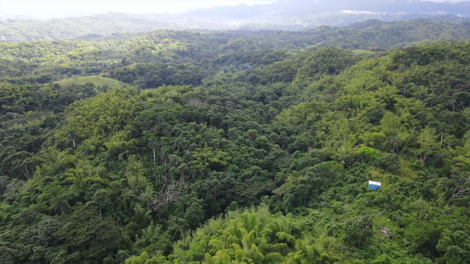 155-Acre-Prime-Development-Land-for-Sale-in-Hanover-Jamaica Sixth image of Land Part of Riley,lucea in Riley, Hanover, Jamaica - property is For Sale