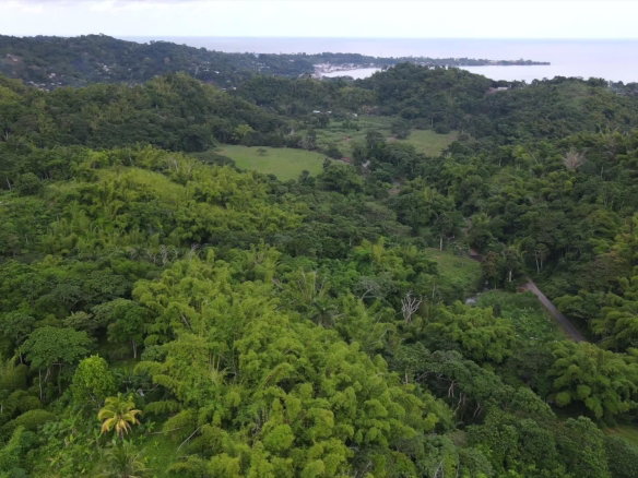 First image of Land Part of Riley,lucea in Riley, Hanover, Jamaica - property is For Sale