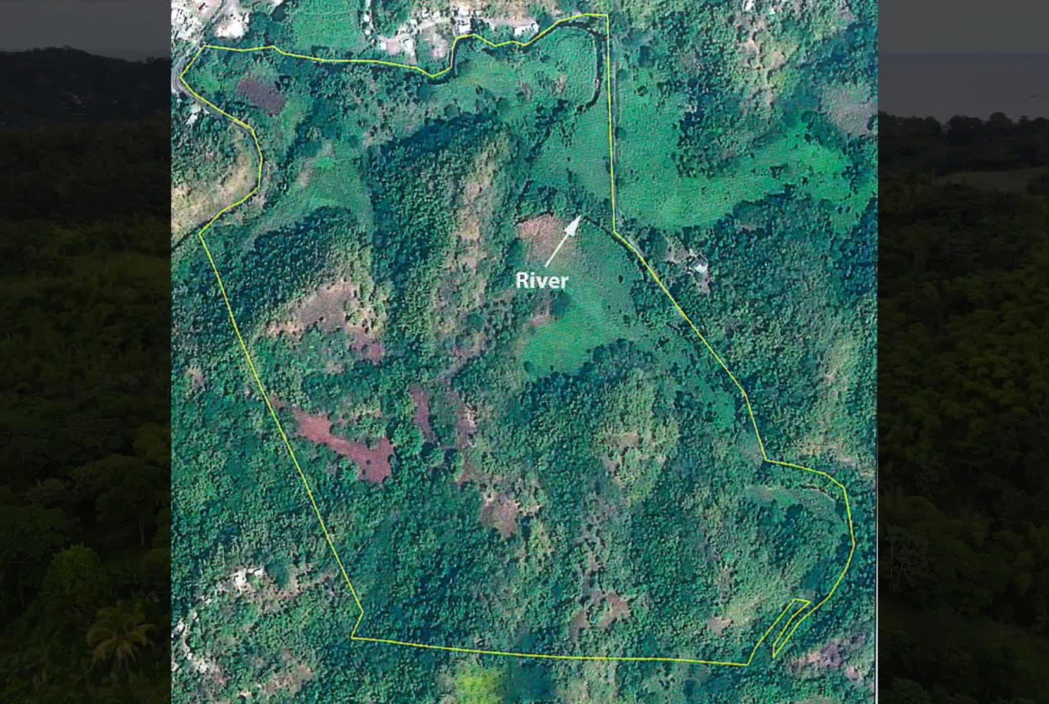 Eighth image of Land Part of Riley,lucea in Riley, Hanover, Jamaica - property is For Sale