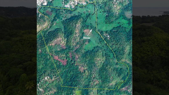 Eighth image of Land Part of Riley,lucea in Riley, Hanover, Jamaica - property is For Sale