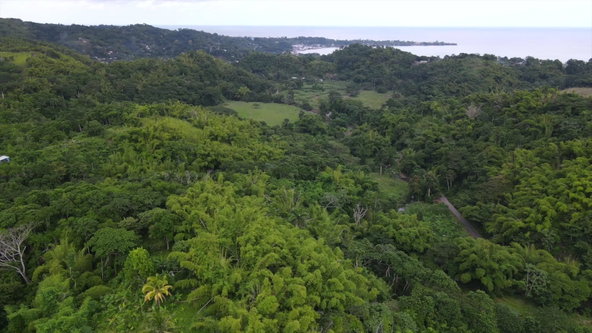 First image of Land Part of Riley,lucea in Riley, Hanover, Jamaica - property is For Sale