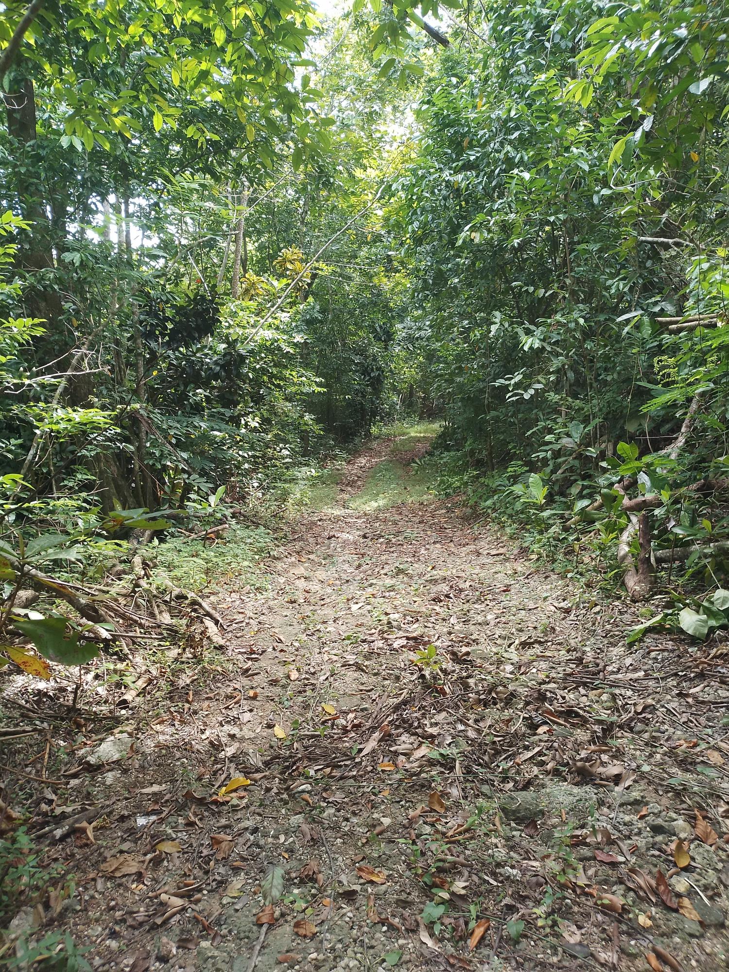 Second image of Lot 12- Fontabelle in Fontabelle, St. Mary, Jamaica - property is For Sale