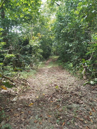 Second image of Lot 12- Fontabelle in Fontabelle, St. Mary, Jamaica - property is For Sale