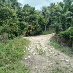 First image of Lot 12- Fontabelle in Fontabelle, St. Mary, Jamaica - property is For Sale