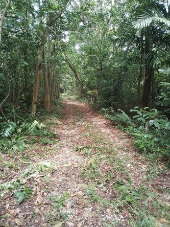 Third image of Lot 12- Fontabelle in Fontabelle, St. Mary, Jamaica - property is For Sale