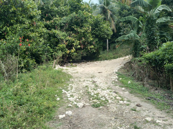 First image of Lot 12- Fontabelle in Fontabelle, St. Mary, Jamaica - property is For Sale