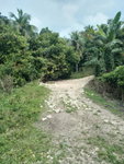 First image of Lot 12- Fontabelle in Fontabelle, St. Mary, Jamaica - property is For Sale