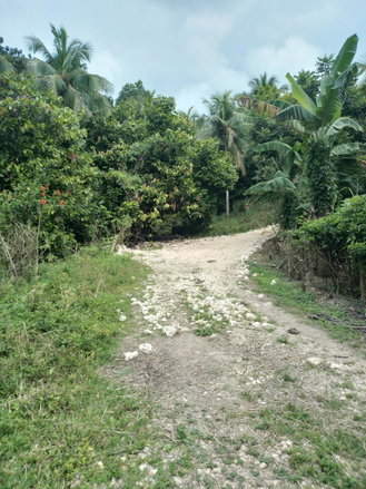 First image of Lot 12- Fontabelle in Fontabelle, St. Mary, Jamaica - property is For Sale